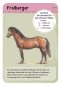 Preview: Moses Expedition Natur - 50 Pferde & Ponys