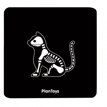 Plantoys Tierarzt Set