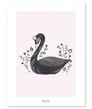 Poster Lilipinso black Swan