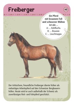 Moses Expedition Natur - 50 Pferde & Ponys