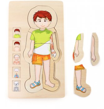 Small Foot Company Schichtenpuzzle Anatomie Junge