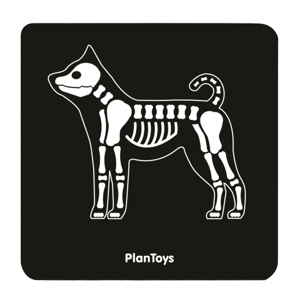 Plantoys Tierarzt Set