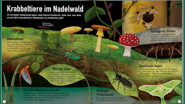 HABA Kinderbuch Grüner Planet