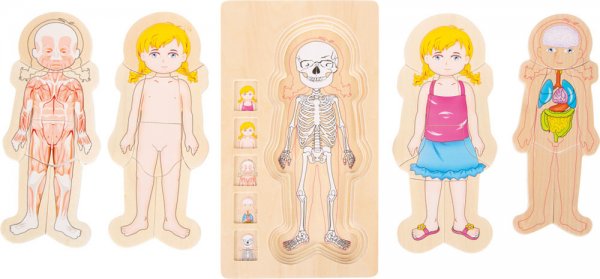 Small Foot Company Schichtenpuzzle Anatomie Mädchen