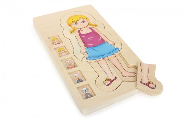 Small Foot Company Schichtenpuzzle Anatomie Mädchen